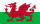 Wales flag